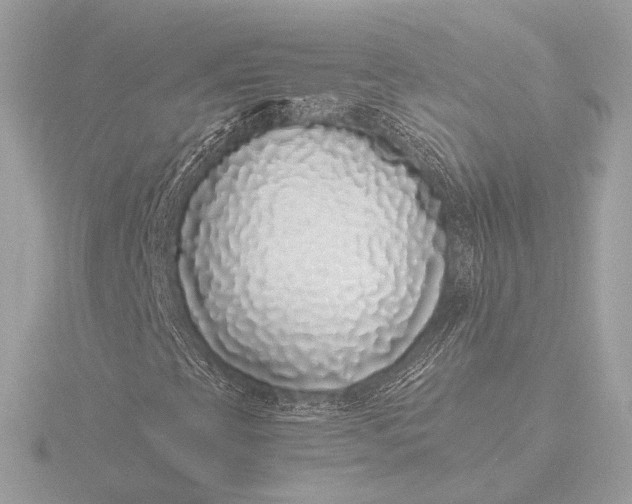 X0000116421393200912221436