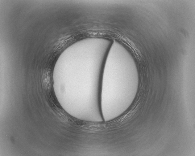 X0000116421396200912221436