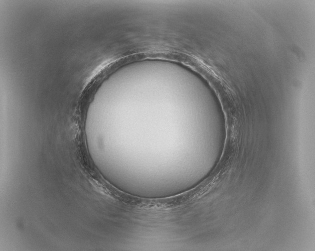 X0000116421400200912221436
