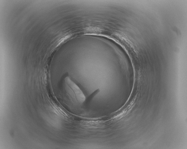 X0000116421401200912221436