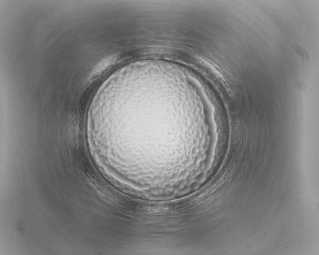 X0000116421403200912221436
