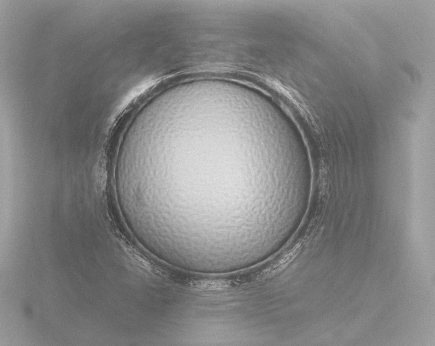 X0000116421406200912221436