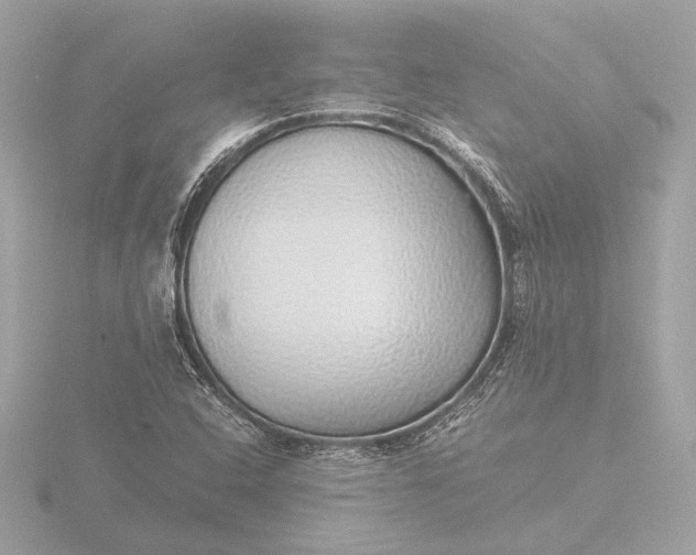X0000116421408200912221436