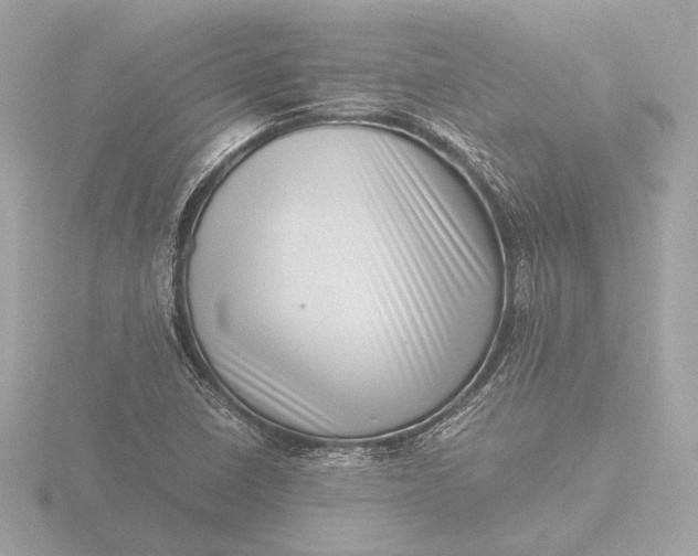 X0000116421410200912221436