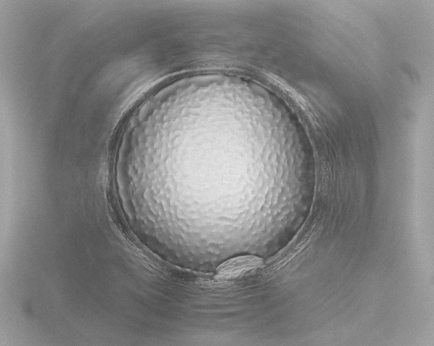 X0000116421415200912221436