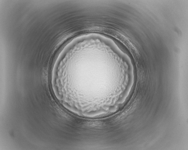 X0000116421417200912221436