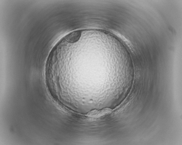 X0000116421423200912221437