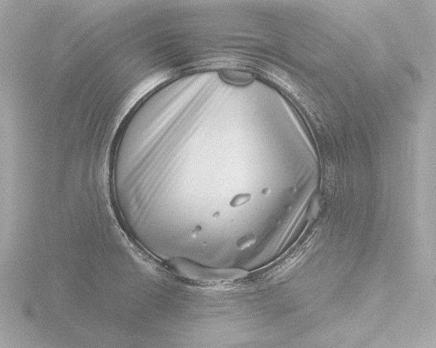 X0000116421426200912221437