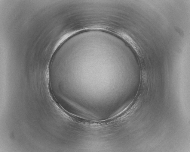 X0000116421428200912221437