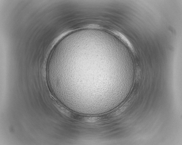 X0000116421435200912221437