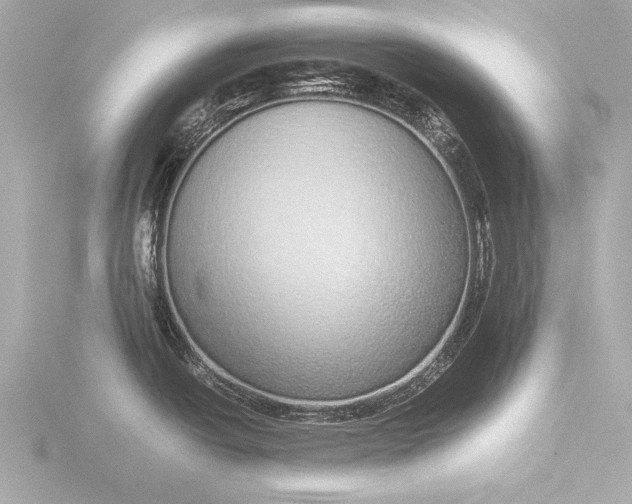 X0000116421438200912221437