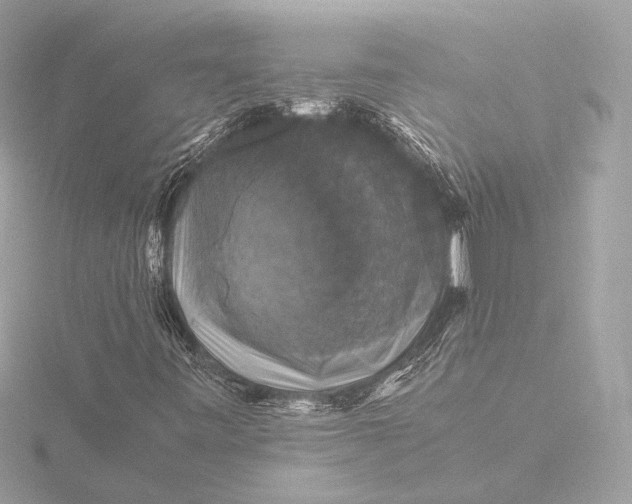X0000116421443200912221436