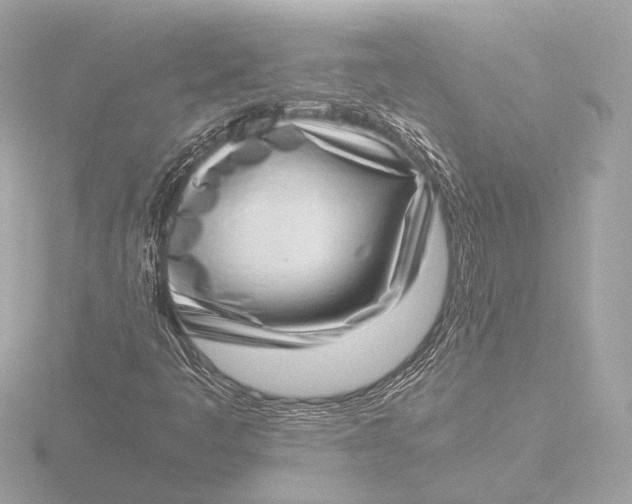 X0000116421445200912221436
