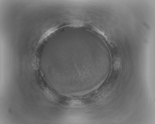 X0000116421448200912221436