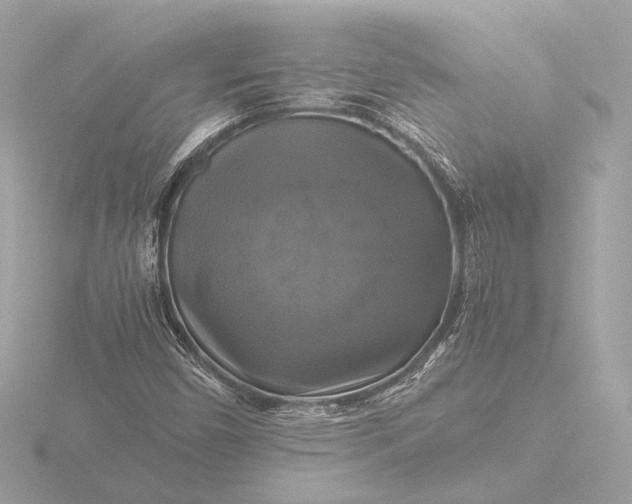 X0000116421450200912221436