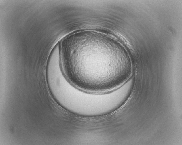 X0000116421465200912221436