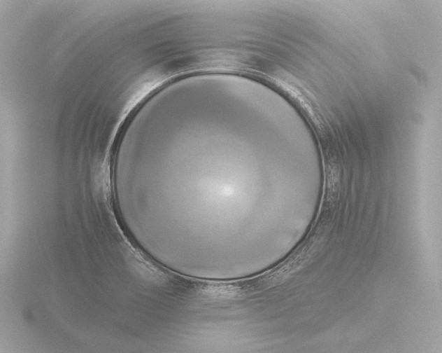 X0000116421466200912221436