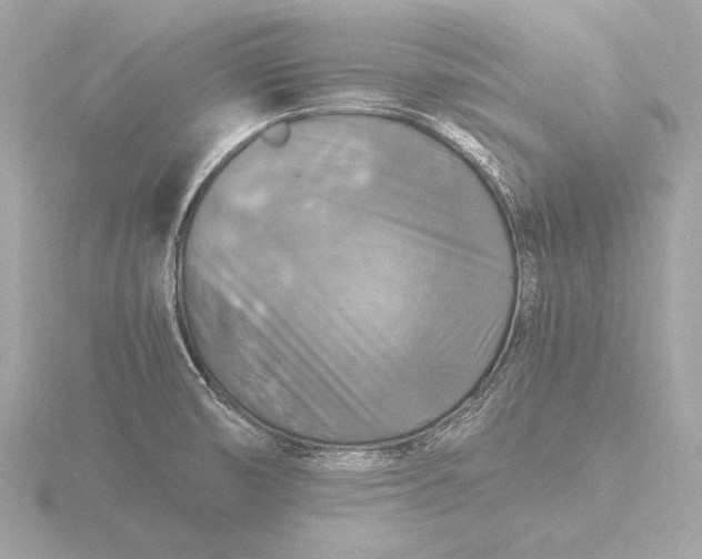 X0000116421474200912221436