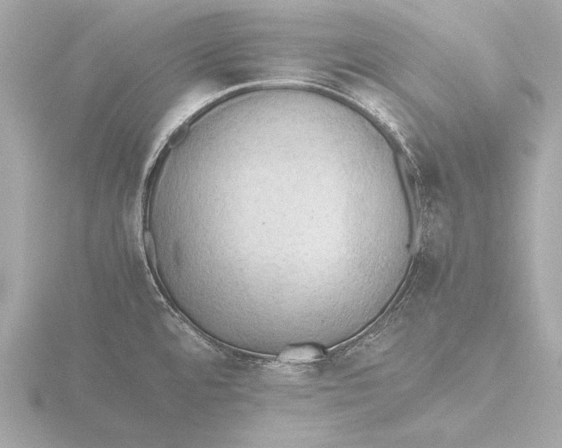 X0000116421480200912221436