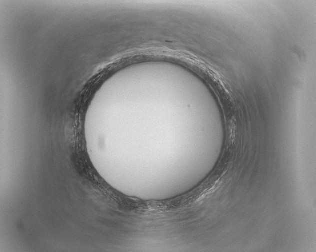 X0000116421494200912221435