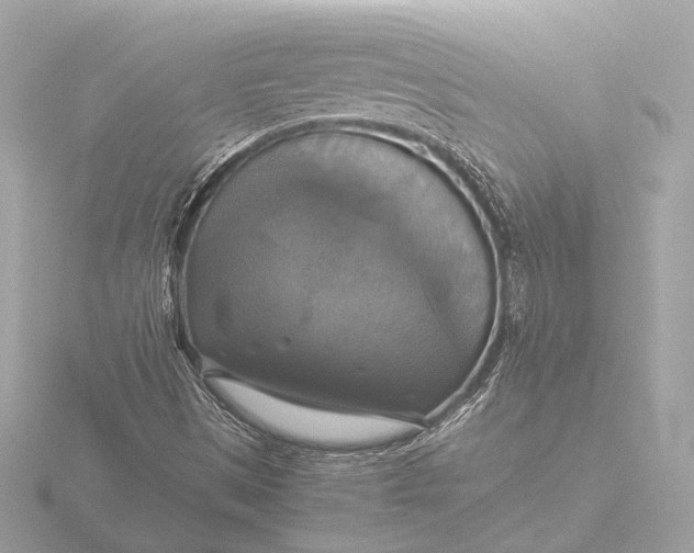 X0000116421497200912221435