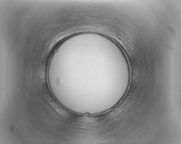 X0000116421499200912221435