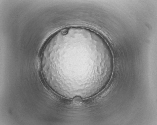 X0000116421509200912221435