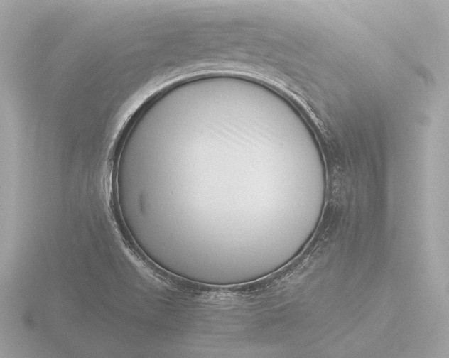 X0000116421511200912221435