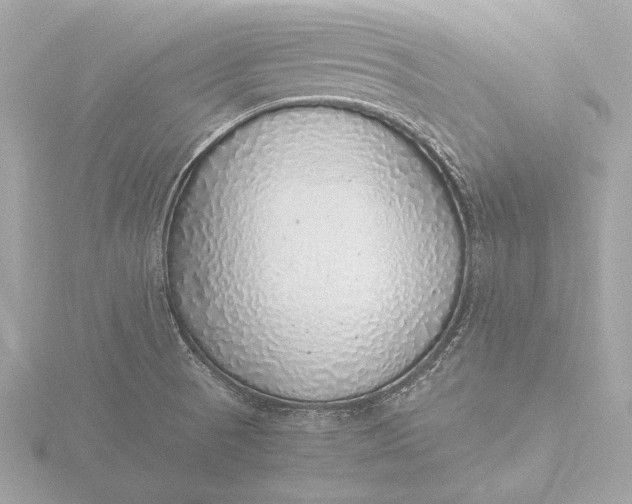 X0000116421521200912221435