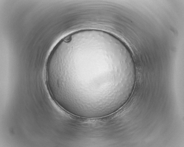 X0000116421531200912221436