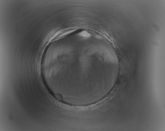 X0000116420002200912291858