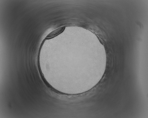 X0000116420003200912291858