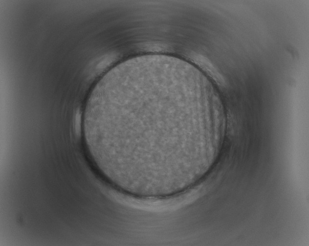 X0000116420014200912291858