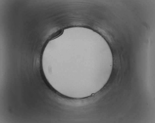X0000116420015200912291857