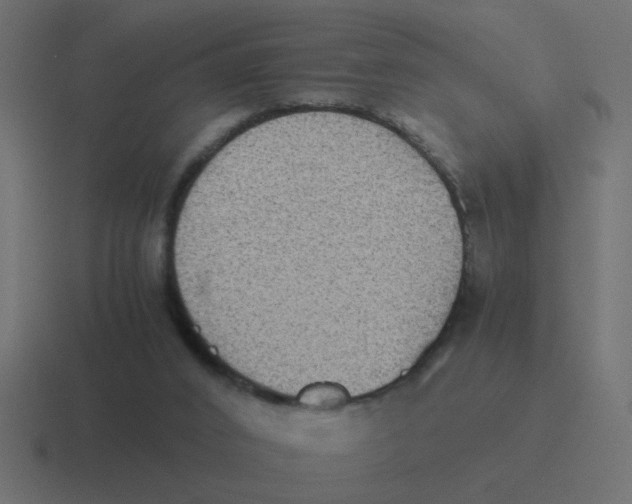 X0000116420016200912291857