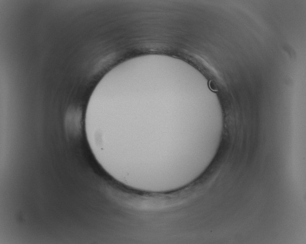 X0000116420024200912291857