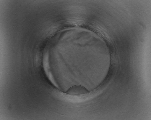 X0000116420030200912291857