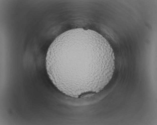 X0000116420034200912291857