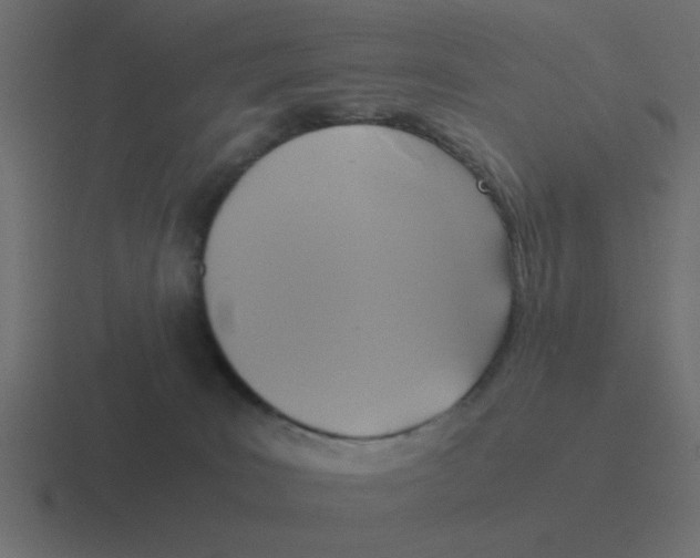X0000116420035200912291857
