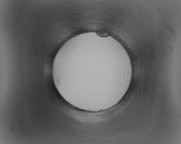 X0000116420040200912291857