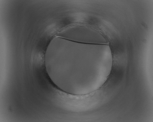 X0000116420043200912291857