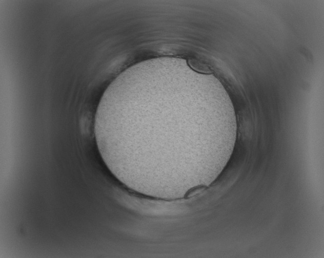 X0000116420044200912291857