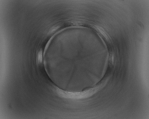 X0000116420046200912291857