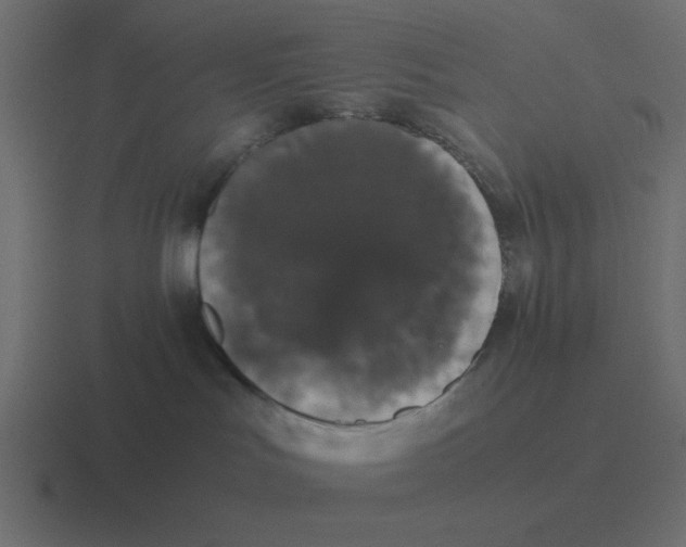 X0000116420047200912291857