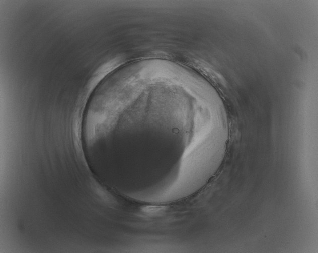 X0000116420051200912291856
