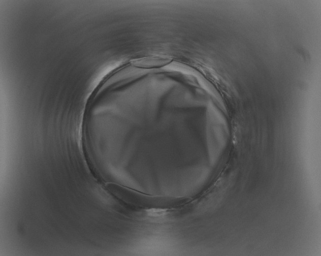 X0000116420052200912291857