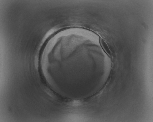X0000116420056200912291857
