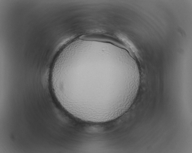 X0000116420058200912291857