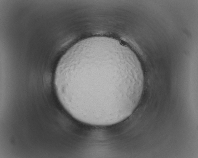 X0000116420066200912291857