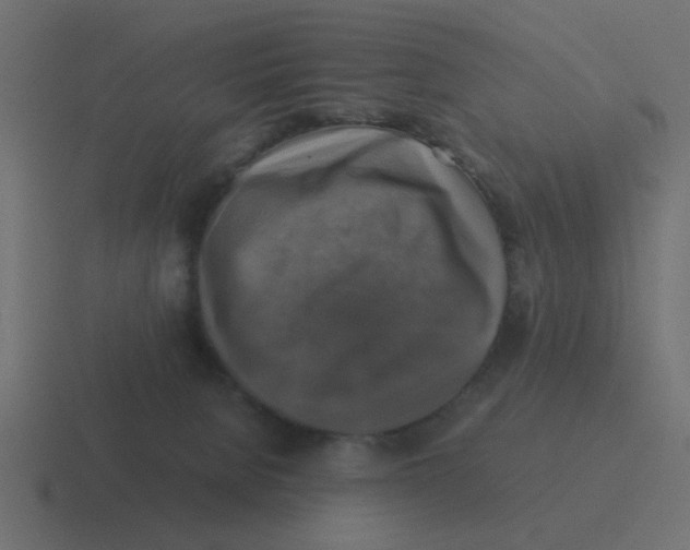 X0000116420080200912291857